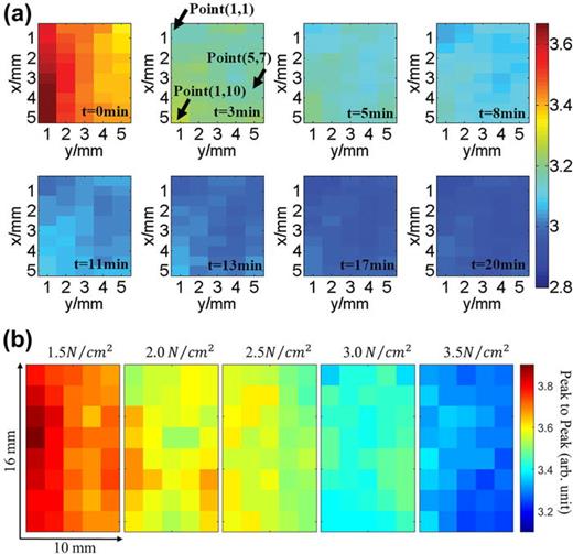 FIG. 25. (a) Images of the same region of skin with increasing time into occlusion, showing the decrease in peak to peak amplitude with increasing occlusion time. Reproduced with permission from Sun et al., J. Biophotonics 11, e201700111 (2018).108 Copyright 2017 Wiley-VCH Verlag GmbH &amp; Co. KGaA, Weinheim. (b) THz images of the skin acquired under different contact pressures between the skin and the imaging window. Reproduced with permission from Wang et al., Biomed. Opt. Express 9, 6467 (2018).109 Copyright 2018 Optical Society of America.