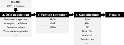FIG. 29. Flowchart of the common approach to data analysis for THz biomedical applications.