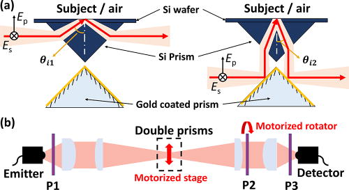 FIG. 4. Multi-configuration ellipsometer for skin characterization: (a) the double-prism system used to introduce two alternative incident angles of θi1 and θi2. Ep and Es represent the electric fields with p- and s-polarizations, respectively. (b) The integration of the double-prism system with a transmission system to provide four uncorrelated reflected spectra. P1, P2, and P3 are three polarizers, with P1 and P3 fixed at 45° and P2 being rotated to select the p- or s-signals. Reproduced with permission from Chen et al., Adv. Photonics Res. 2, 2000024 (2021).84 Copyright 2021 Authors, licensed under a Creative Commons Attribution (CC BY) license.