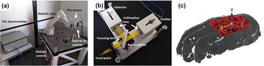 FIG. 6. Robotic configuration: (a) robotic arm integrated with the THz sensor and optical 3D scanner; (b) photo of the THz optical sensor and the beam path; and (c) optical 3D scan of the investigated mummy hand. The THz measurement area is highlighted in red. Reproduced with permission from Stübling et al., Sci. Rep. 9, 3390 (2019).107 Copyright 2019 Authors, licensed under a Creative Commons Attribution (CC BY) license.