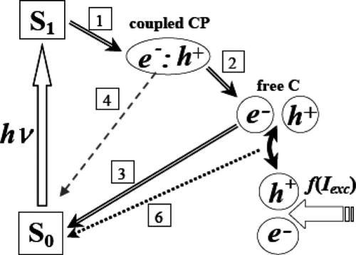 FIG. 34. Reaction scheme of a photoexcited polymer:fullerene bulk heterojunction materials. The polymer excited state (exciton) is generated by light absorption and rapidly dissociates into a bound charge pair (CT state) (process 1), which in competition with geminate recombination (process 4) dissociates into free mobile charges (process 2). Free charges recombine on the nanosecond and longer timescale either geminately (process 3) or non-geminately (process 6) at higher carrier densities. The relative yield of processes 3 and 6, i.e., geminate vs non-geminate charge recombination is strongly material dependent; for a particular polymer one of the processes (e.g., process 3) may dominate, while for another polymer this process may be very slow and recombination dominated by process 6. Reproduced with permission from De et al., J. Am. Chem. Soc. 129, 8466–8472 (2007). Copyright 2007 American Chemical Society.783