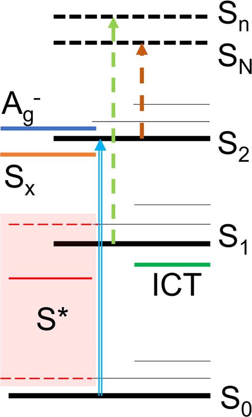 FIG. 4. Scheme of energy levels of a carotenoid. The black solid lines represent the S0, S1, and S2 states of the three-state model. Vibrational sublevels of the S0, S1, and S2 states are denoted as thin black lines. Other dark states often used to explain carotenoid excited state dynamics are shown in color: Ag− (blue), and the Sx state that may be involved in promoting S2–S1 relaxation (orange). The internal charge transfer (ICT) state observed exclusively in keto-carotenoids (green), and the S* state, which likely has multiple origins, is denoted as the red box as it may represent a hot ground state (bottom red dashed line in the box) or an excited state of a specific carotenoid conformation (upper dashed line in the box). The major optical transitions are shown as arrows: the S0–S2 transition (blue), the S1–Sn transition (green), and S2–SN transition (brown).