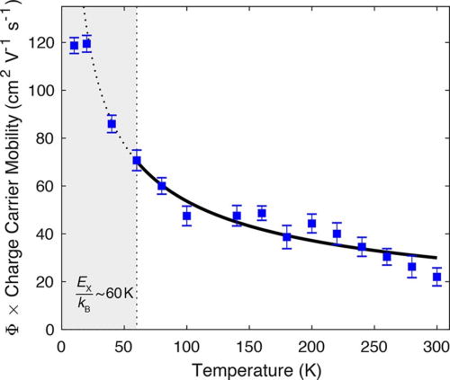 FIG. 42. Temperature dependence of effective charge carrier mobility (yield × mobility) of FAPbI3. A negative temperature dependence of carrier mobility, i.e., decreasing mobility with increasing temperature, is a characteristic property of organometal halide perovskites, and is one of the features on which the large polaron model of the carrier dynamics is based (see the text for details and more features). Reprinted with permission from Davies et al., J. Phys. Chem. Lett. 9, 4502–4511 (2018). Copyright 2018 American Chemical Society.856