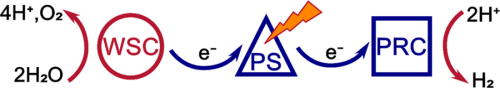 FIG. 47. Schematic model of a photocatalytic system consisting of a light collecting photosensitizer (PS), a water splitting catalyst (WSC), and a proton reducing catalyst (PRC). The model illustrates the light-driven operation of the combined system as the PS drives the necessary electron transfer from the WSC and to the PRC. Adapted with permission from Ponseca et al., Chem. Rev. 117, 10940–11024 (2017). Copyright 2017 American Chemical Society.625