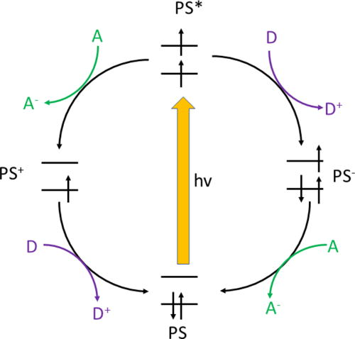 FIG. 48. Schematic oxidative and reductive photoredox cycles for a photosensitizer (PS) in the presence of electron donors (D) and acceptors (A). Initial light-excitation generates the excited photosensitizer (PS*). In addition to intrinsic deactivation (not shown), full photoredox photocycles to regenerate the ground state of the photosensitizer can be accomplished by either reduction of an electron acceptor (A) followed by oxidation of an electron donor (D) with an oxidized photosensitizer state (PS+) as an intermediate as shown on the left, or the reverse order of the steps with initial donor oxidation with concomitant formation of the reduced photosensitizer (PS−) prior to subsequent reduction of the acceptor.