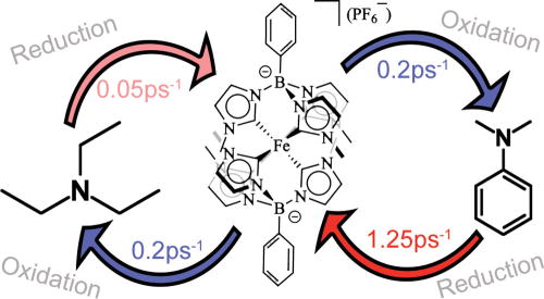 FIG. 50. Photo-oxidation dynamics for an Fe(III) ligand-to-metal charge-transfer (LMCT) photocatalyst in a concentrated electron donating solvent environment. The red and blue arrows show measured electron transfer rates for reduction and oxidation of the photocatalyst involving the two prototype electron donating solvent species triethylamine (left) and dimethylaniline (right). Reprinted with permission from Rosemann et al., J. Am. Chem. Soc. 142, 8565–8569 (2020). Copyright 2020 American Chemical Society.906