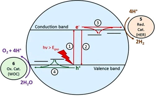 FIG. 61. Schematic of a photoelectrochemical semiconductor architecture. Light absorption (1) in a single semiconductor material such as nano-TiO2 is followed by recombination (2), charge transport, trapping, and detrapping (3) and (4), before oxidation and reduction catalysis takes place at the surface (5) and (6). Reproduced with permission from Ponseca et al., Chem. Rev. 117, 10940–11024 (2017). Copyright 2017 American Chemical Society.625