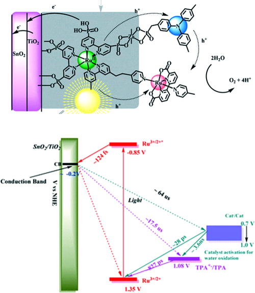FIG. 63. Photodriven water oxidation for a surface bound chromophore-donor-catalyst assembly. Key electron and hole transfer steps are illustrated schematically in the chemical structure drawing (left) as well as in a kinetic reaction scheme (right). The initial photoinduced reactions include photoexcitation of the Ru-sensitizer that leads to electron injection into TiO2 with a 124 fs time constant, as well as hole transfer from the Ru-sensitizer to the Ru-catalyst with a time constant of 28 ps. A TPA (triphenylamine) tertiary amine electron unit also reduces the Ru-sensitizer with a time constant of 877 ps as a secondary source of hole generation that is transferred to the Ru-catalyst with a 3.6 ns time constant, and thus facilitates the water oxidation taking place on the Ru-catalyst. Interfacial recombination of injected electrons with the Ru-catalyst or TPA donor were determined to take place with significantly slower time constants of 64 and 17.5 μs, respectively. Reprinted from Wang et al., Chem. Sci. 12, 14441–14450 (2021). Copyright 2021 Author(s), licensed under a Creative Commons Attribution (CC BY) License.948