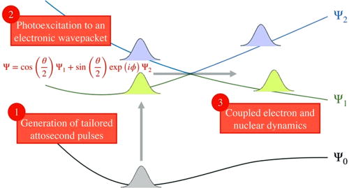 FIG. 64. Proposed scheme for attochemistry: (1) Attosecond pulses with electronic coherence living long enough to affect the outcome of a photochemical reaction have to be designed and generated. (2) These pulses generate an electronic wave packet composed of a superposition of electronic states with defined population ratio and phase. (3) The electronic wave packet couples to nuclear motion and modulates the dynamics in the conical intersection region. When experimentally available, this spectroscopy can be anticipated to provide a wealth of information about molecular structure and dynamics but also expected to suffer from problems with ionization due to the necessarily high photon energies. Reprinted with permission from Merritt et al., J. Phys. Chem. Lett. 12, 8404–8415 (2021). Copyright 2021 American Chemical Society.959