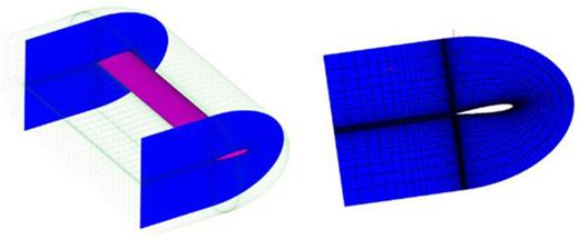 Structured C-block grids for the blade.