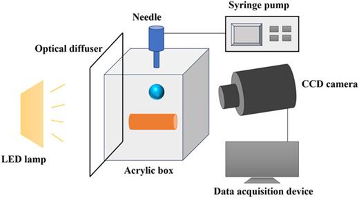 Schematic of experimental system.