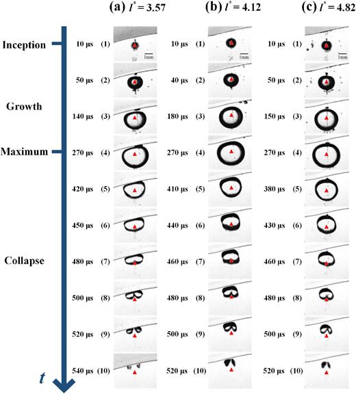 Photographs of bubble for different values of the dimensionless distance l*: (a) l* = 3.57; (b) l* = 4.12; (c) l* = 4.82.