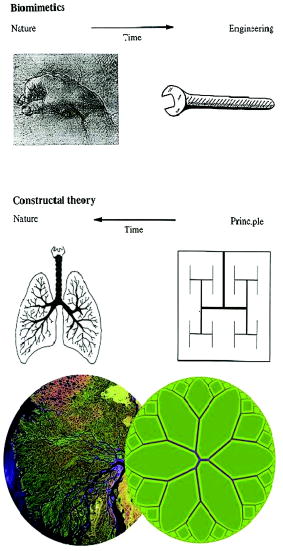 Constructal theory of generation of configuration in nature and ...