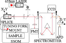 Imaging concentric modulations in transverse modes of a vertical-cavity ...