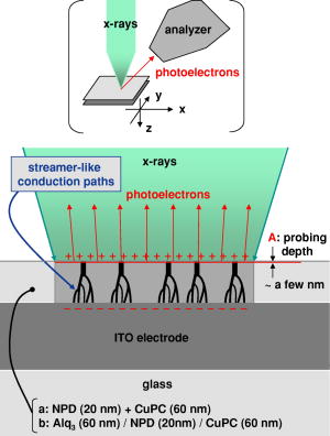 Photoelectron spectrum from a thin organic layer exposed to intense x ...