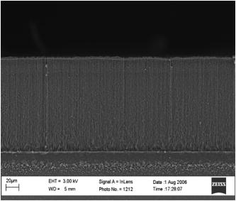 Thermal resistance of the native interface between vertically aligned ...