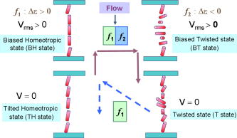 Dynamic switching behavior of bistable chiral-tilted homeotropic ...