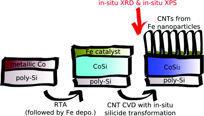 In-situ study of growth of carbon nanotube forests on conductive CoSi2 ...