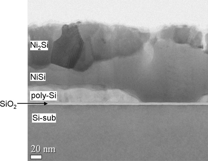 Analytical electron microscopy investigation of elemental composition ...