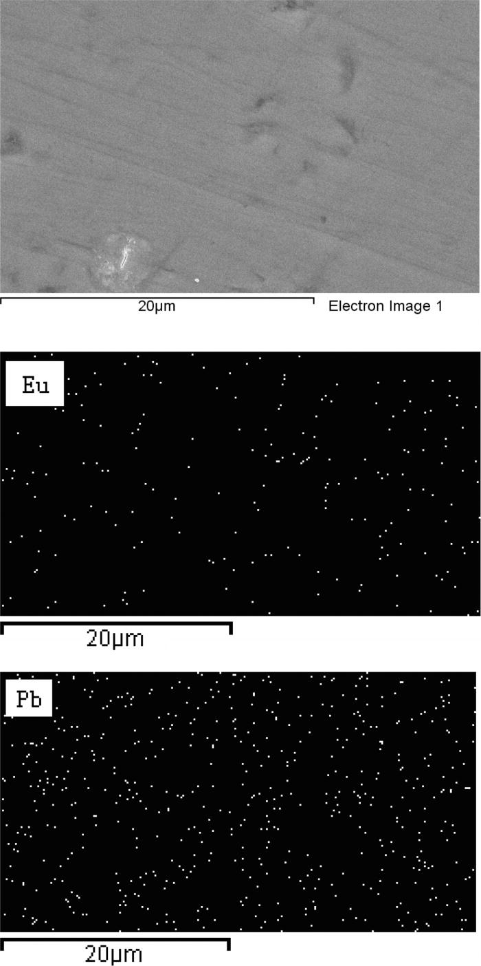 Glass composition and excitation wavelength dependence of the luminescence of Eu3+ doped lead