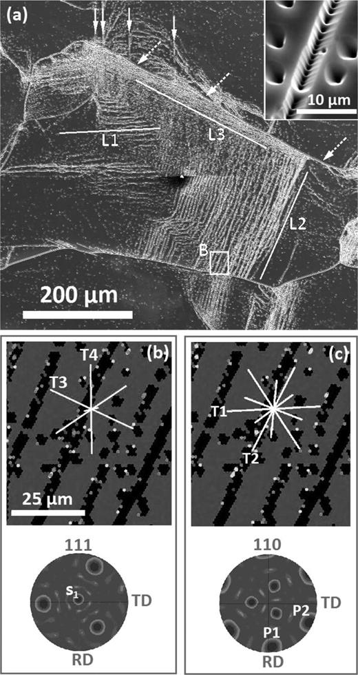 Dislocation Network Microstructurw The microstructure of dislocation clusters in industrial directionally ...