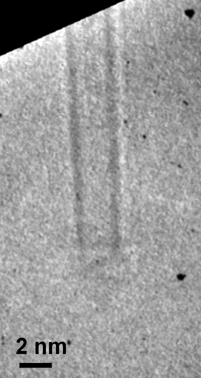 Covalent attachment of a specific site of a protein molecule on a