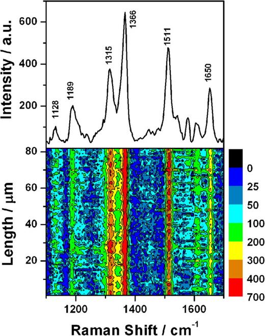 Surface-enhanced Raman scattering (SERS) based on copper vanadate ...
