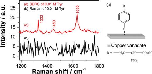 Surface-enhanced Raman scattering (SERS) based on copper vanadate ...
