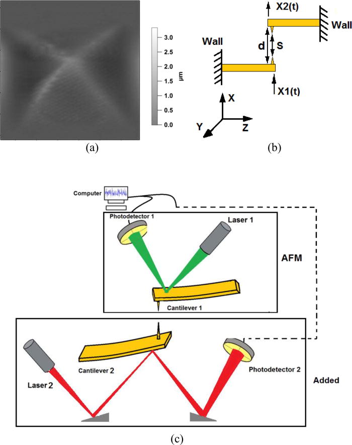 A correlation force spectrometer for single molecule measurements under