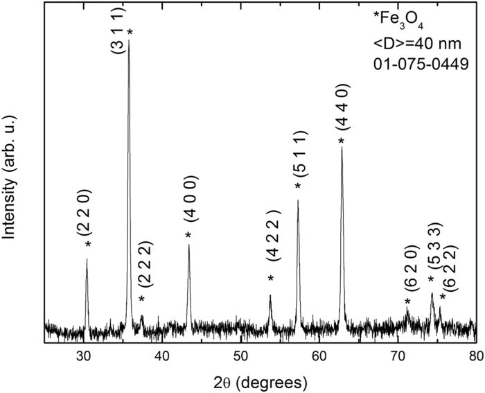 susceptibility studies of the spinglass and Verwey transitions in