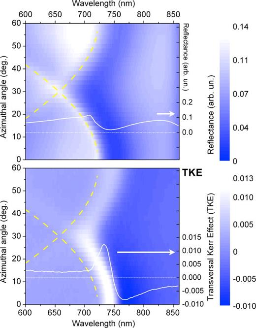 Transversal magneto-optical Kerr effect in two-dimensional nickel ...