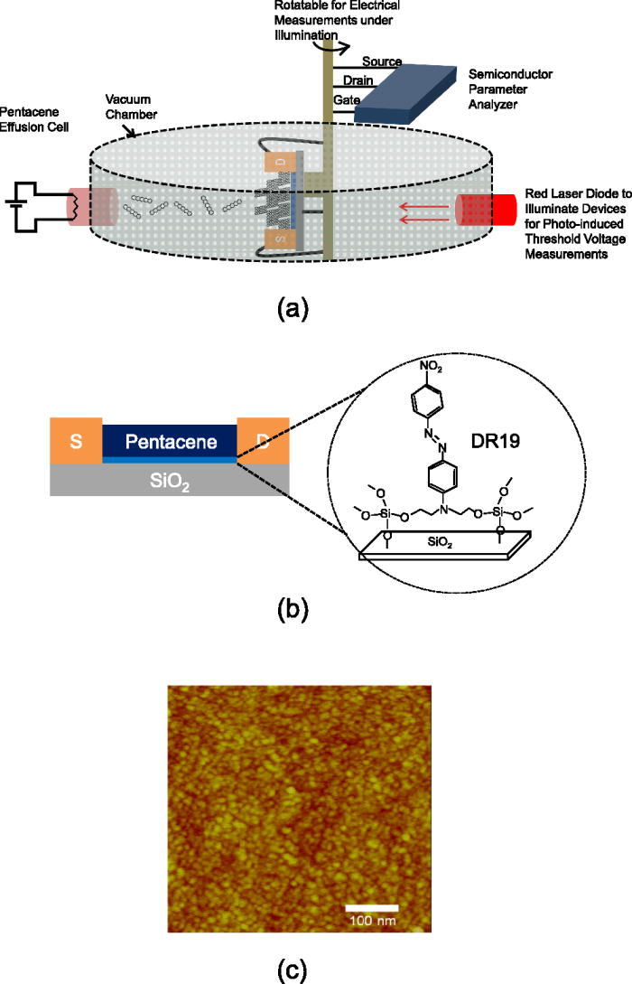 Exciton separation at the interface between pentacene and dipolar ...