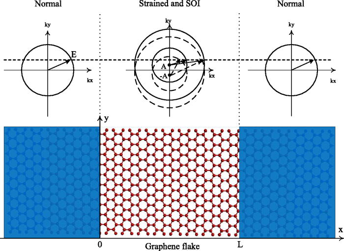 Enhanced spin polarization in graphene with spin energy gap induced by spinorbit coupling and