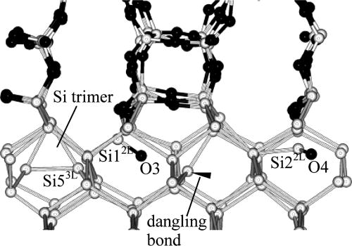 Molecular dynamics study of Si(100)-oxidation: SiO and Si emissions ...