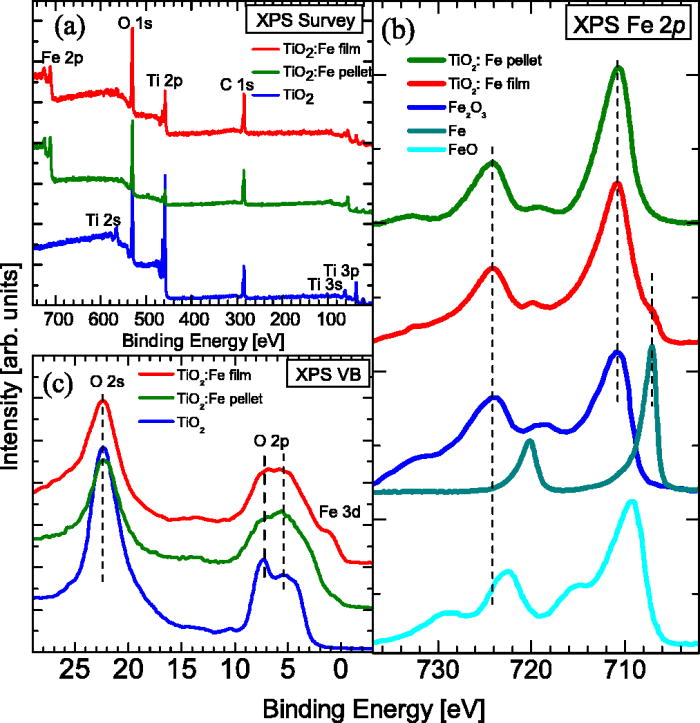 Structural defects induced by Fe-ion implantation in TiO2 | Journal of ...