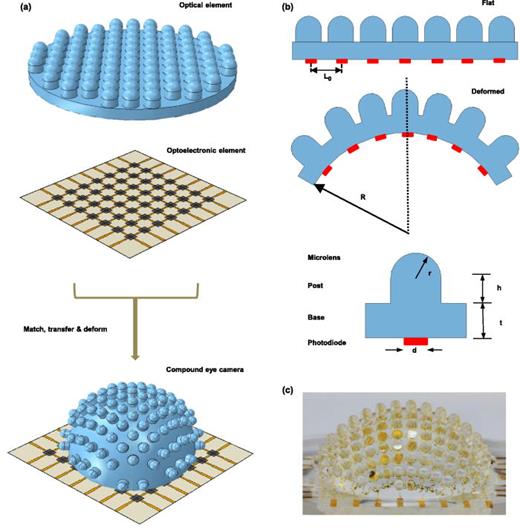 Mechanics and optics of stretchable elastomeric microlens array for ...