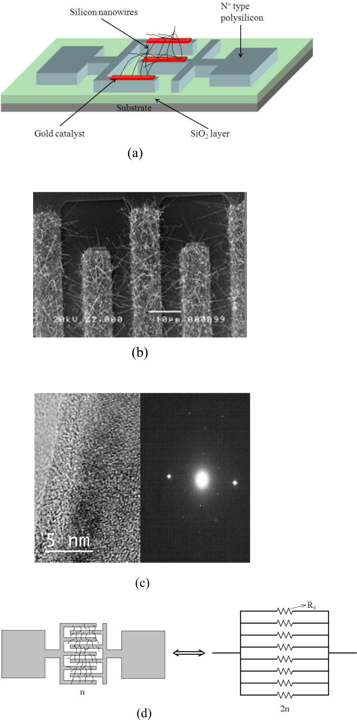 Electrical properties of phosphorus in situ doped Au-catalyst vapor ...