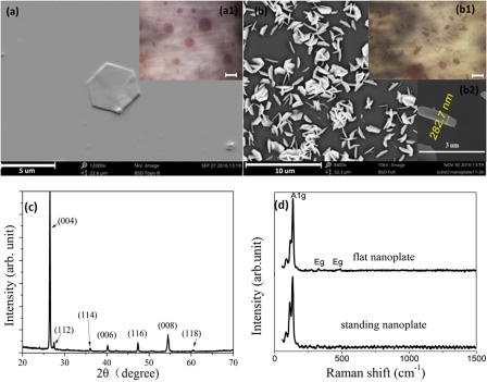 Structure and photoluminescence study of silicon based two-dimensional ...