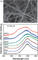 Probing the dynamics of photoexcited carriers in Si2Te3 nanowires ...