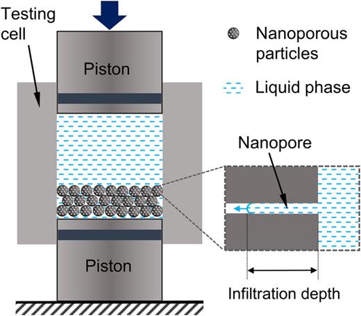 FIG. 1. Schematic of the experimental setup.