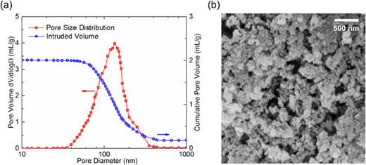 FIG. 4. (a) Pore size distribution of silica gel and intruded volume vs. pore size curve. (b) Typical SEM image of the nanoporous silica.