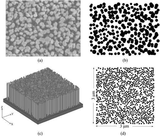 FIG. 1. (a) Top view SEM image of MBE grown self-organized GaN nanowires on Si; (b) transferred pattern in FDTD simulation domain; (c) 3D schematic diagram of randomly distributed GaN nanowires having d = 70 nm and Φ = 40% and its corresponding (d) 2D pattern along the x-y plane.