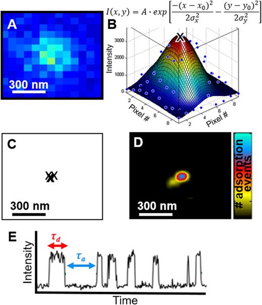 FIG. 6. Super-resolution imaging and kinetics of protein adsorption to ligands in hydrogels. (a)–(d) Steps to produce a super-resolution image of ligand locations from multiple protein adsorption events. (a) The diffraction-limited emission pattern of a fluorescently-labeled protein adsorbed to a ligand. (b) Fitting the raw data of the point spread function (blue points) to a two-dimensional Gaussian (surface; mathematical fitting equation written above) obtains the centroid location (black “x”). (c) Centroids from multiple, stochastic adsorption events localize the ligand within the hydrogel to ∼30 nm, as shown in (d), the final super-resolution image. (e) Kinetic information is obtained by monitoring the intensity at an individual ligand location versus time. Increase in intensity indicates an adsorbed protein.