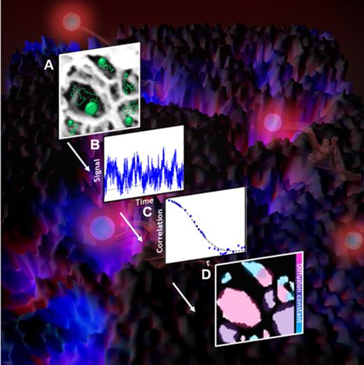 FIG. 8. Steps of fcsSOFI analysis. (a and background image) Fluctuations in signal are produced by fluorescent emitters diffusing within the nanopores of the hydrogel. (b) The fluctuations in intensity at each individual pixel over time are analyzed by (c) autocorrelation. The amplitude of the autocorrelation curve is plotted as the saturation of the image and curve fitting to a diffusion model is plotted as the color of the (d) final fcsSOFI image. Adapted with permission from Kisley et al., ACS Nano 9, 9158–9166 (2015). Copyright 2015 American Chemical Society.14