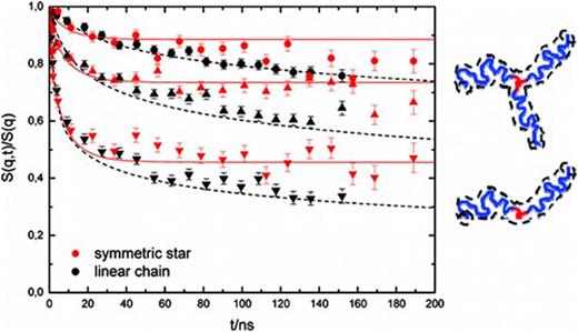 NSE-measured dynamic structure factors of a branch-point labeled symmetric three-arm star and analogous center-labeled linear chain. Reprinted with permission from Zamponi et al., Macromolecules 43(1), 518–524 (2010). Copyright 2010 American Chemical Society.