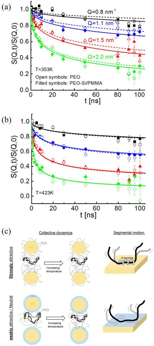 (a) Comparison of NSE data on neat PEO and PEO in a composite with PMMA-coated silica nanoparticles. The lines are corresponding fits to the reptation model. (b) Schematic of observed dynamics in relation to interfacial interactions. Adapted from Senses et al., Sci. Rep. 6, 29326 (2016). Copyright 2016 Springer Nature.