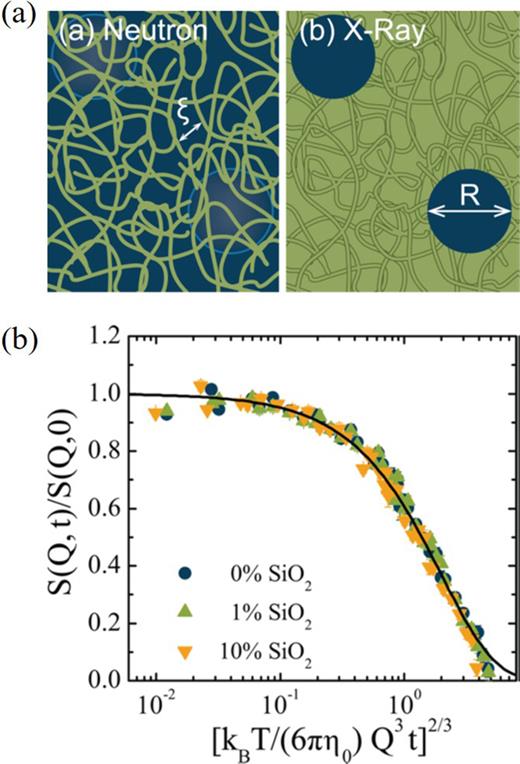 (a) Schematic of the scattering contrasts for silica particles of radius R dispersed in semidilute polystyrene with correlation length ξ shown for x-rays (right) and for neutrons with partially deuterated solvent (left). (b) NSE-measured dynamic structure factor as a function of Zimm scaling for polymer dynamics. Adapted with permission from Poling-Skutvik et al., Macromolecules 49, 6568−6577 (2016). Copyright 2016 American Chemical Society.