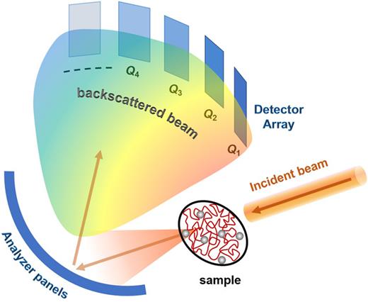 Schematic of the geometry of a backscattering spectrometer in which an incident neutron beam is scattered by the sample into a set of analyzer panels and then backscatters into a bank of detectors. This geometry measures the scattered intensity at well-defined Q-values. Doppler-driven monochromators or time-of-flight measurements allow measurements of neutron energy transfers at accessible Q-values.