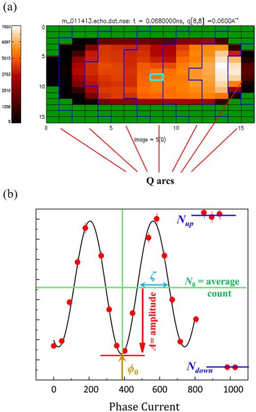 (a) 2D NSE detector image showing the energy distribution along Debye–Scherrer rings, which identify the grouping of different pixels among different Q-arcs (when possible). (b) Echo-signal measured by the NSE spectrometer at NIST, showing the different parameters required in the echo fit, as described in the text.