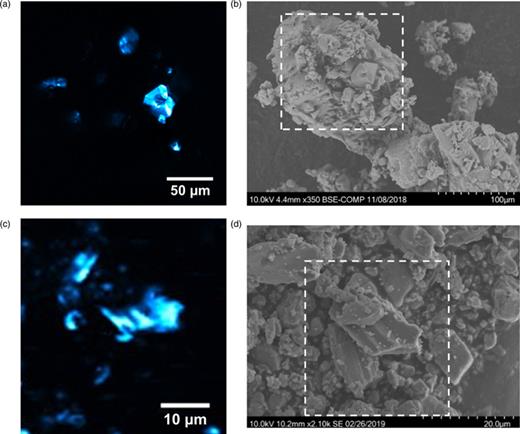 Optical second harmonic generation imaging and x-ray diffraction of Cs1 ...